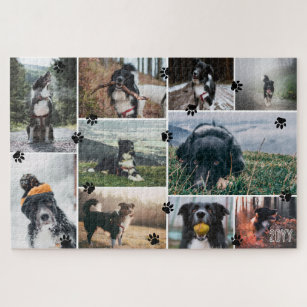 Schwarze Paws hinzufügen Jahr 10 Haustiere FotoCol Puzzle