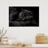 Schwarze Perserkatze Poster (Küche)