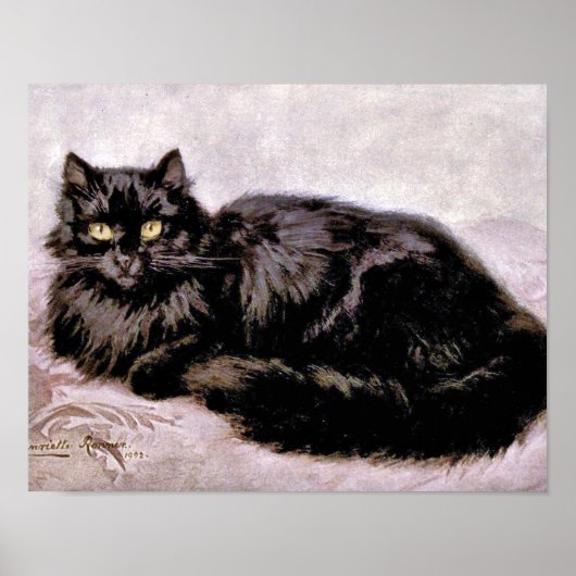 Schwarze Perserkatze Poster (Vorne)