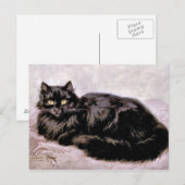 Schwarze Perserkatze Postkarte (Vorne/Hinten)