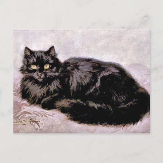 Schwarze Perserkatze Postkarte (Vorderseite)