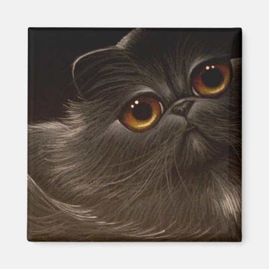 SCHWARZE PERSIAN CAT Magnet (Vorne)