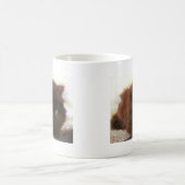 Schwarze persische Kätzchen-Tasse Kaffeetasse (Mittel)