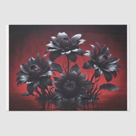 Schwarze Petalen Aufstieg - Entkopplung - Seidenpapier (Vorderseite)