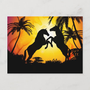 Schwarze Pferde Postkarte