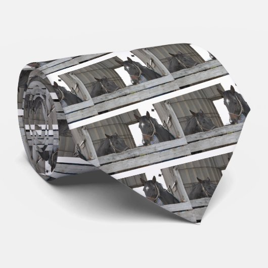 Schwarze Pferde/Ranch Krawatte (Gerollt)