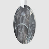 Schwarze Pferdeverzierung Ornament (Vorderseite)