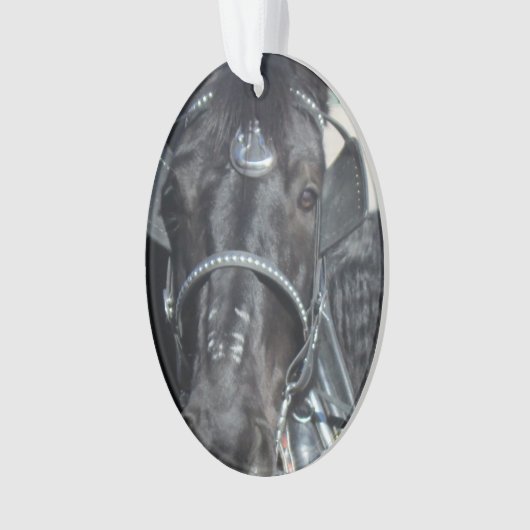 Schwarze Pferdeverzierung Ornament (Vorderseite)