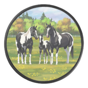 Schwarze Pinto Farbe Quarter Pferde im Sommer Weid Eishockey Puck