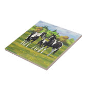 Schwarze Pinto Farbe Quarter Pferde im Sommer Weid Fliese (Seite)