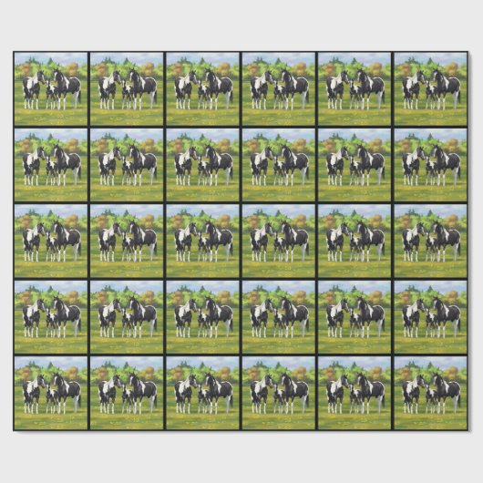 Schwarze Pinto Farbe Quarter Pferde im Sommer Weid Geschenkpapier (Flach)