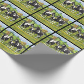 Schwarze Pinto Farbe Quarter Pferde im Sommer Weid Geschenkpapier (Ecke)