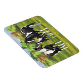 Schwarze Pinto Farbe Quarter Pferde im Sommer Weid Magnet (Rechte Seite)