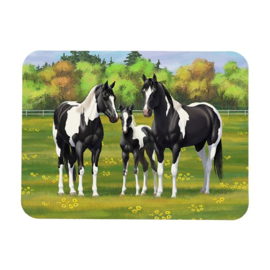Schwarze Pinto Farbe Quarter Pferde im Sommer Weid Magnet (Horizontal)