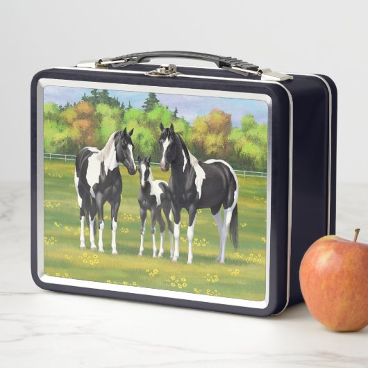 Schwarze Pinto Farbe Quarter Pferde im Sommer Weid Metall Brotdose (Beispiel)