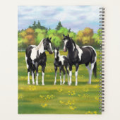 Schwarze Pinto Farbe Quarter Pferde im Sommer Weid Planer (Rückseite)