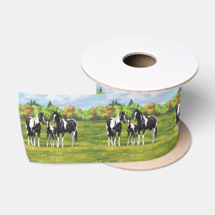 Schwarze Pinto Farbe Quarter Pferde im Sommer Weid Satinband