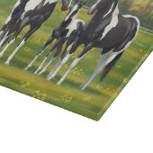 Schwarze Pinto Farbe Quarter Pferde im Sommer Weid Schneidebrett (Ecke)