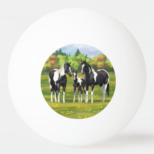 Schwarze Pinto Farbe Quarter Pferde im Sommer Weid Tischtennisball