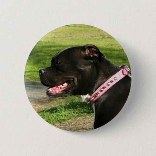 Schwarze Pitbull Button (Vorderseite)
