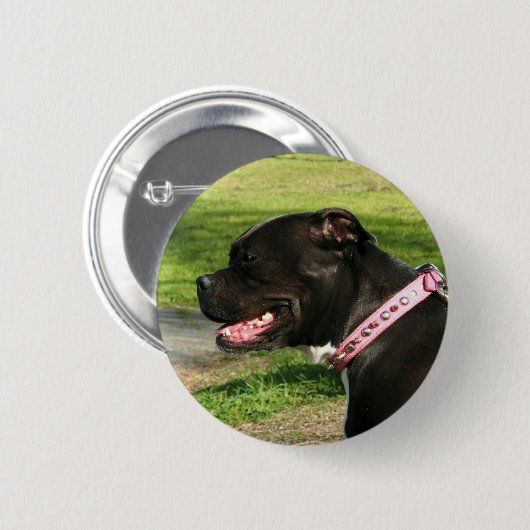 Schwarze Pitbull Button (Vorne & Hinten)