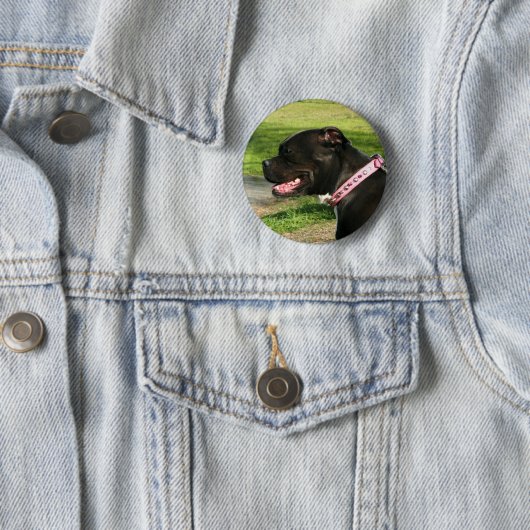 Schwarze Pitbull Button (Beispiel)