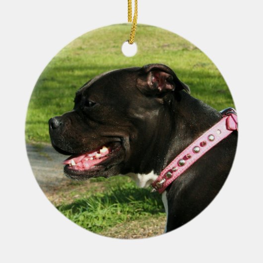 Schwarze pitbull Verzierung Keramik Ornament (Vorne)
