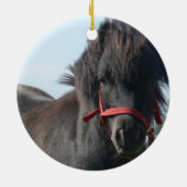 Schwarze Pony-Verzierung Keramik Ornament (Hinten)