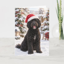 Schwarze portugiesische Wasserhund-Weihnachtskarte