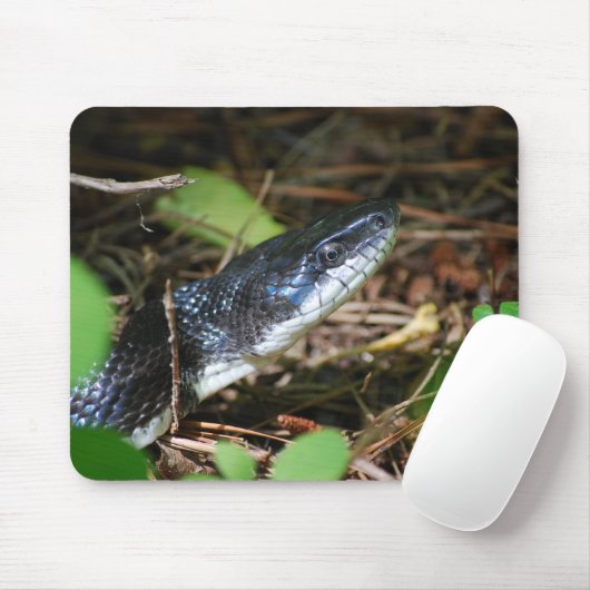 Schwarze Ratten-Schlange mousepad (Mit Mouse)