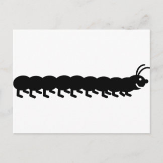 schwarze Raupe Postkarte