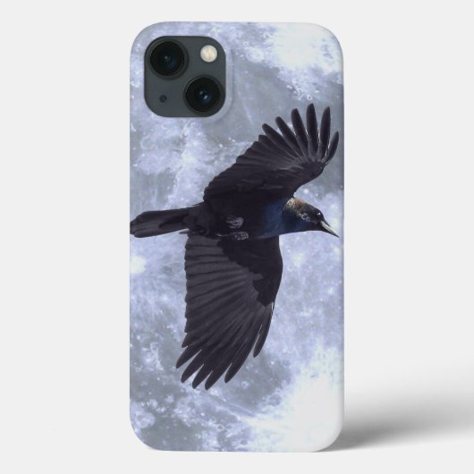Schwarze Raven Gothic, keltisch, Wildtiere Case-Mate iPhone Hülle (Rückseite)
