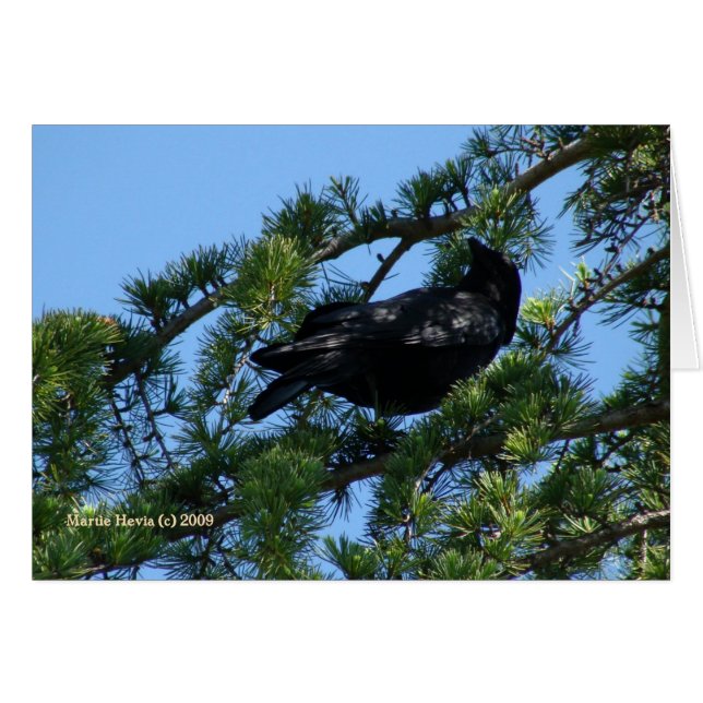 Schwarze Reihe (1a) - Anpassbar (Vorderseite (Horizontal))