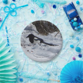 Schwarze Rocky Mountain Magpie Papierplatte Pappteller (Party)