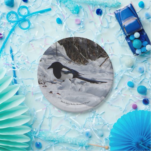 Schwarze Rocky Mountain Magpie Papierplatte Pappteller (Party)