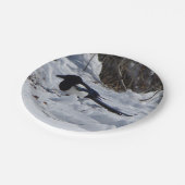 Schwarze Rocky Mountain Magpie Papierplatte Pappteller (Schrägansicht)