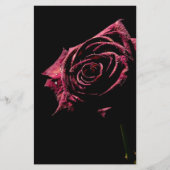 schwarze Rose (Vorderseite)