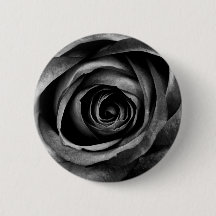 Schwarze Rose Blume Blumendekoration Vintag