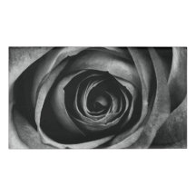 Schwarze Rose Blume Blumendekoration Vintag