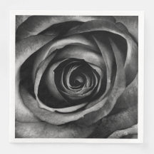 Schwarze Rose Blume Blumendekoration Vintag