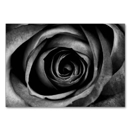Schwarze Rose Blume Blumendekoration Vintag Tischnummer