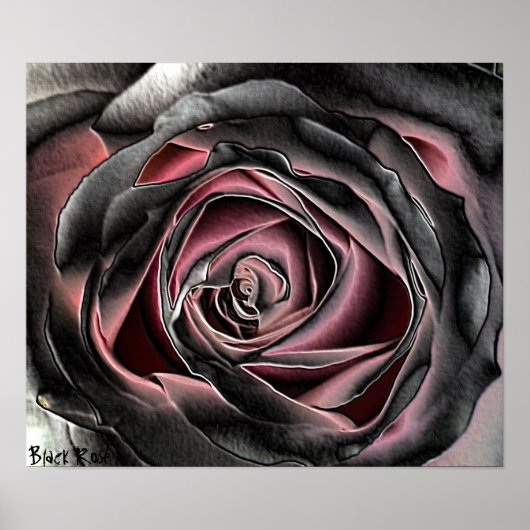 Schwarze Rose Canvas Print Poster (Vorne)