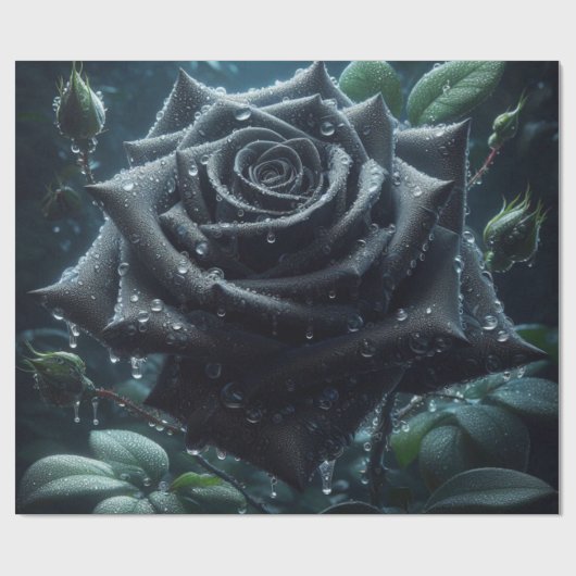 Schwarze Rose Geschenkpapier (Flach)