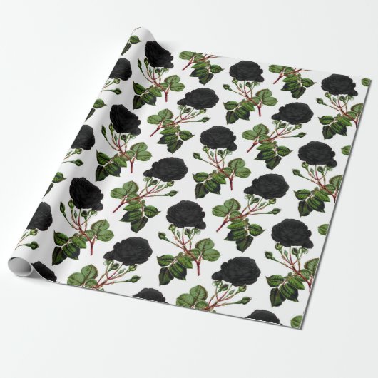 Schwarze Rose Geschenkpapier (Ungerollt)