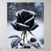 Schwarze Rose im Schnee - Moody Winter Bloral Art  Poster (Vorne)