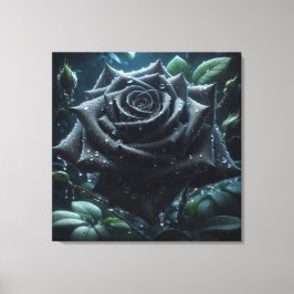Schwarze Rose Leinwanddruck