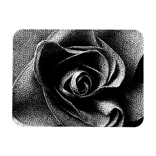 SCHWARZE ROSE MAGNET (Horizontal)
