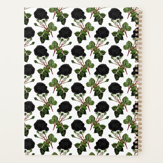 Schwarze Rose Planer (Rückseite)