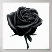 Schwarze Rose Poster (Vorne)