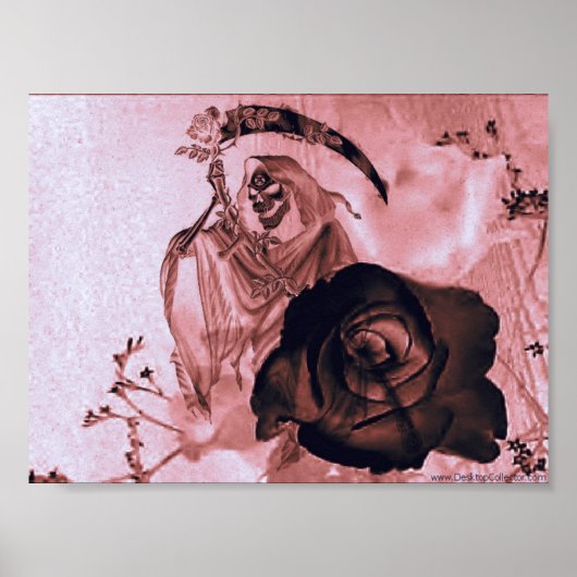 SCHWARZE ROSE POSTER (Vorne)